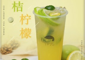 爱游戏：金桔柠檬